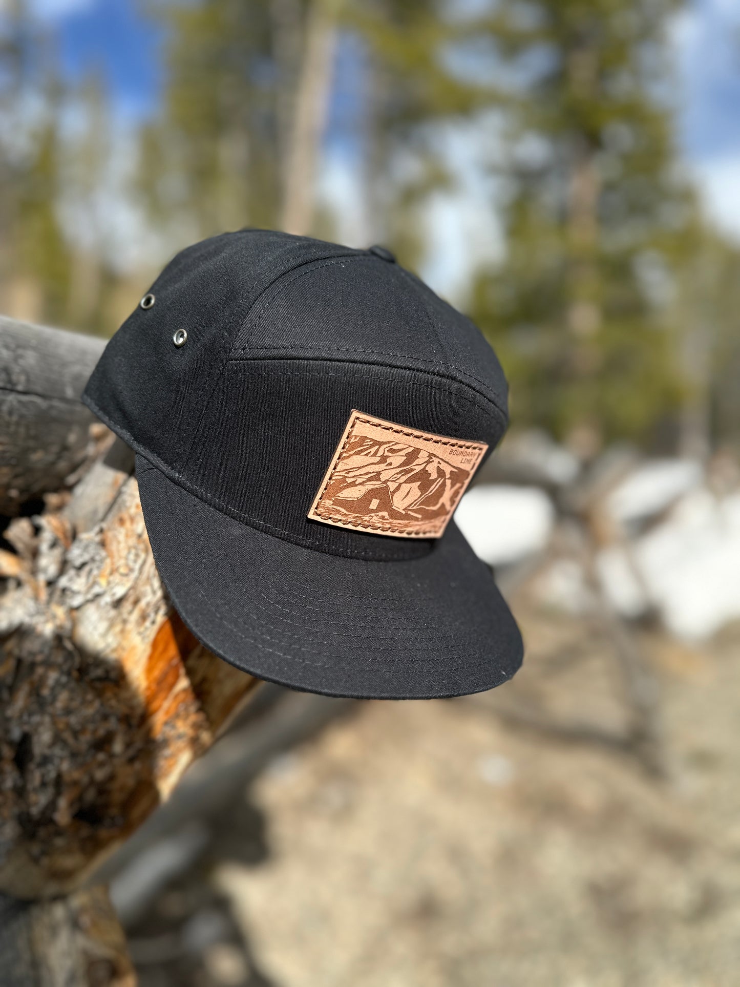 Log Cabin / Black